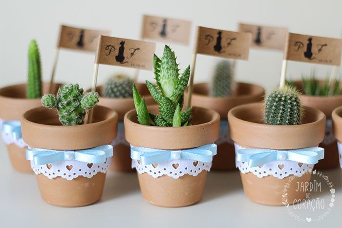 Planta