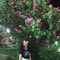 Andressa