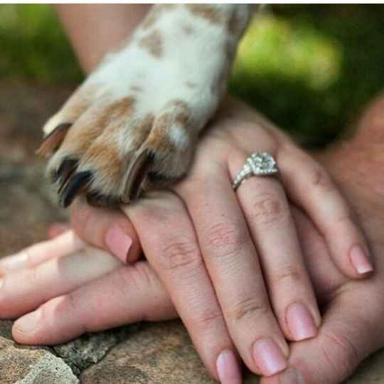 Pré wedding inspiração - 1