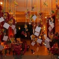 Decoração de salão dy - 1