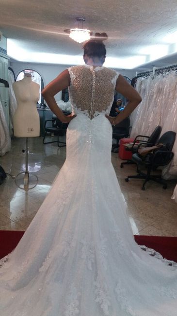 Finalmente escolhi o meu vestido! #vemver - 2