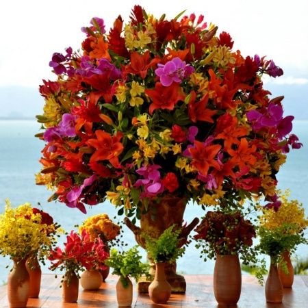 Mil Cores...