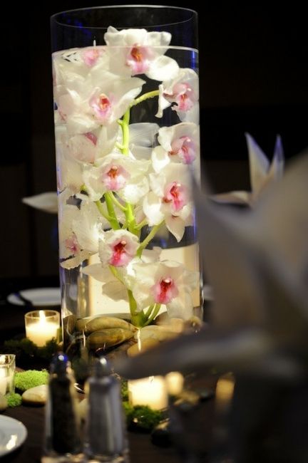 Arranjo de Orquideas