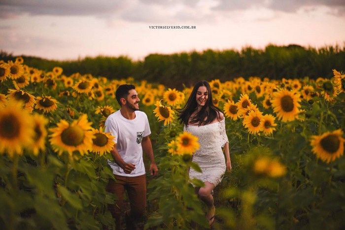 Pre Wedding Em Holambra Dicas E Inspiracoes