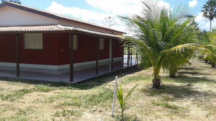 Um ambiente bem arborizado...