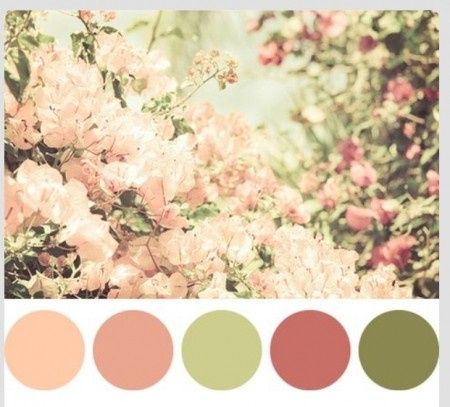 paleta de cores