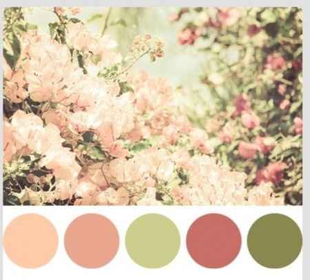 paleta de cores