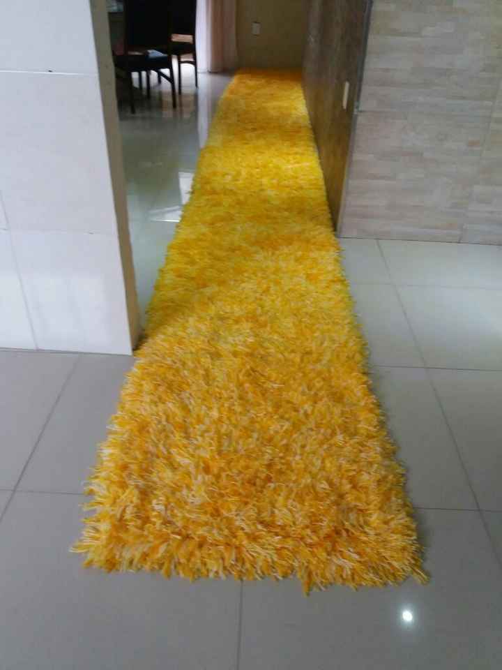  Meu tapete minha passarela! - 1