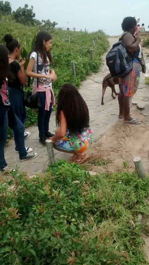 Não usarei véu. e vocês? - 1