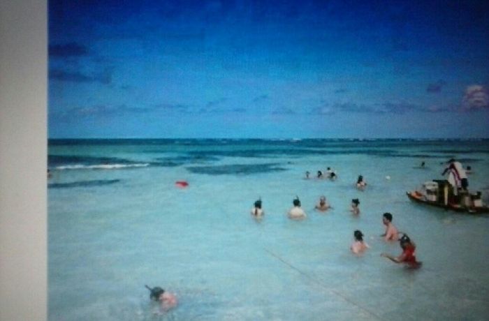 Ganhamos a lua de mel - 5