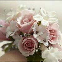 Damas de honra - 1