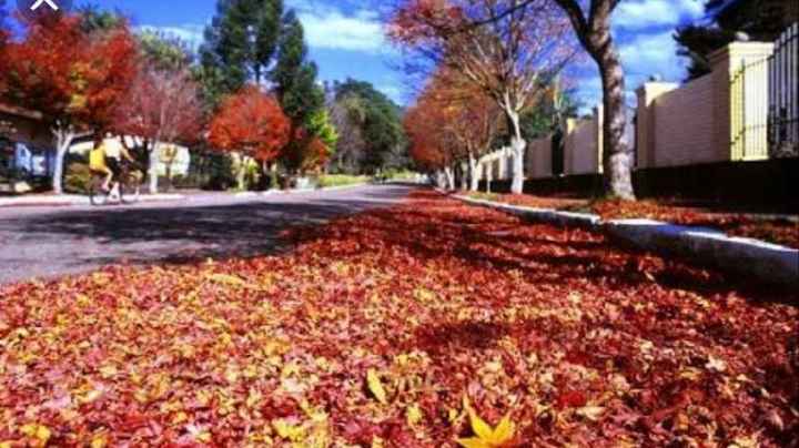 Gramado-rs - 3