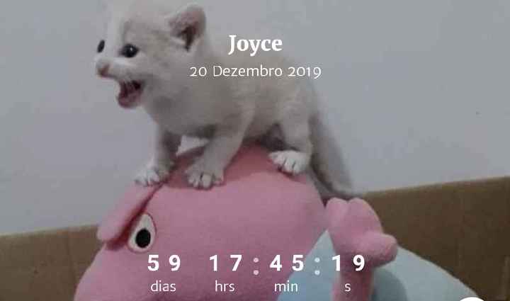 Contagem Regressiva - 1