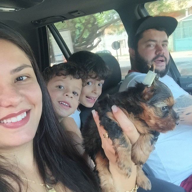 minha família 