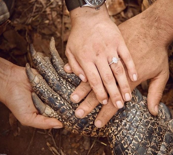 Bindi Irwin, filha do "O caçador de crocodilos", se casa e homenageia o pai 3