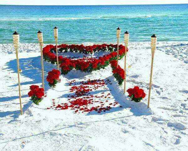 Decoração de casamento na praia - 6