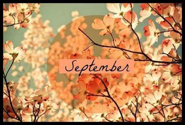 Hello 09 