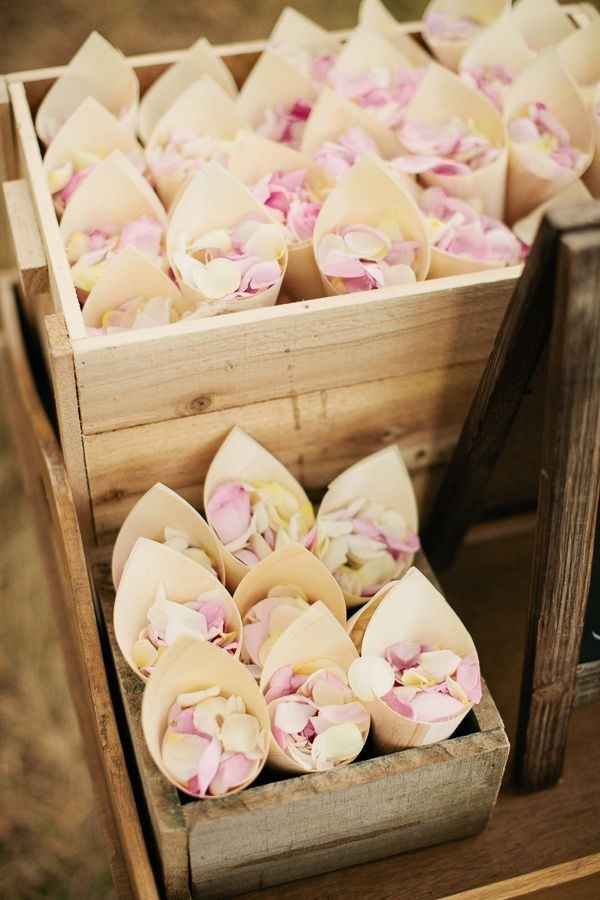 Pétalas de flor