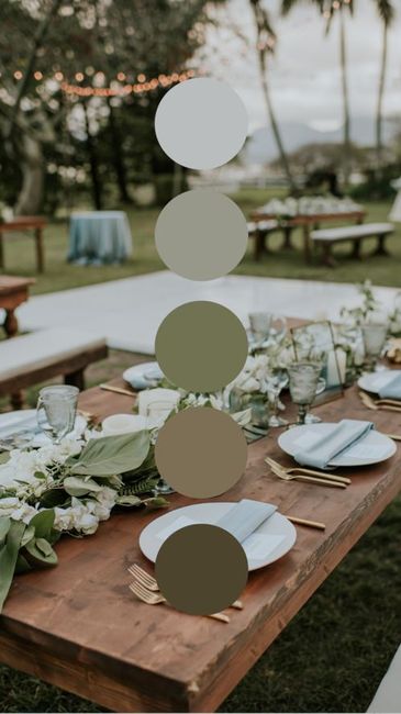 Paleta do casamento.