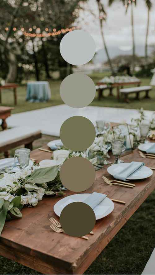 Paleta do casamento.