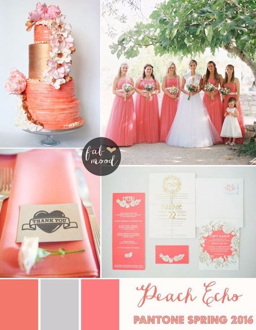 Casamento Coral: fim de tarde!