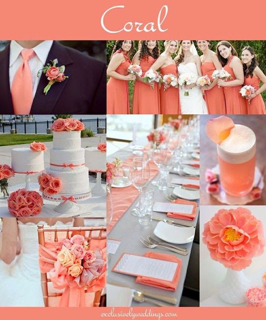 Casamento Coral: fim de tarde! 5