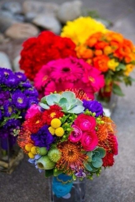 Paleta de Cores <img class=