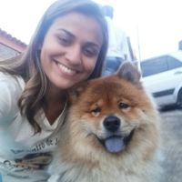 Quem irá levar as alianças no altar??? me ajudem!!! - 1