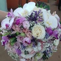 Escolhendo meu bouque - 2