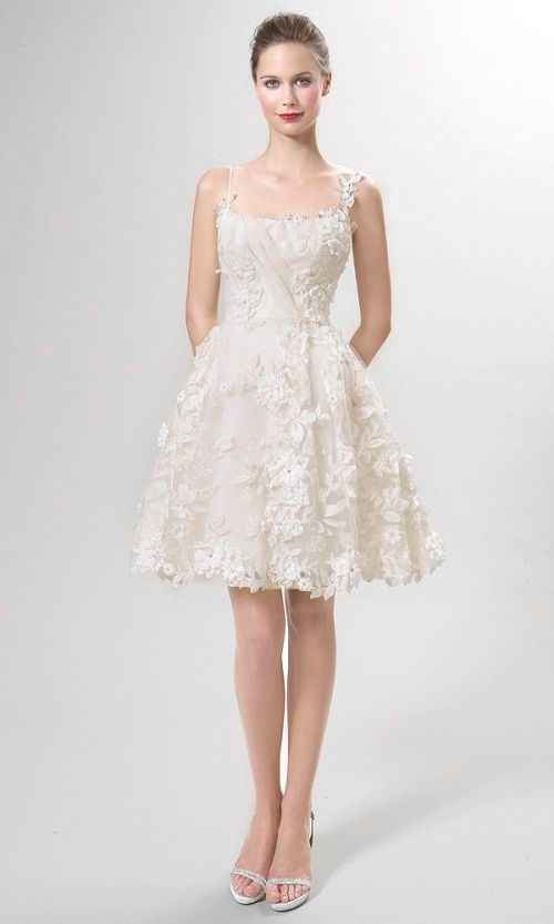Vestidos Curtos