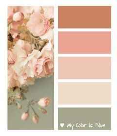 Paleta de cores - 1