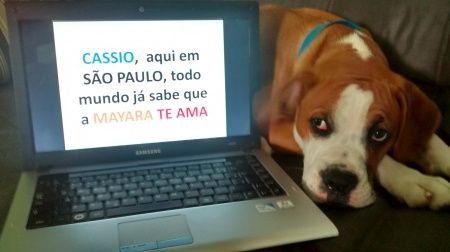 Amor sem fronteiras - 1