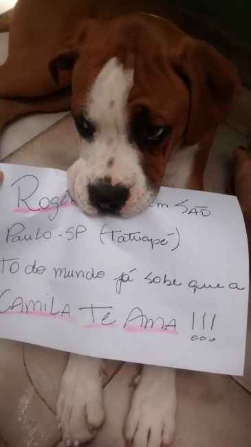 Ta ai