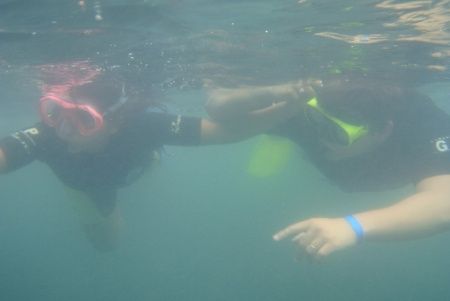mergulho