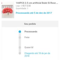  Organizando tudo - 1