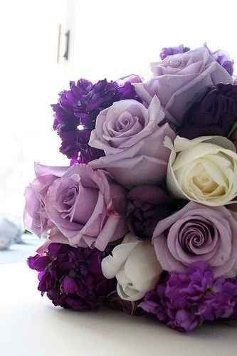 INSPIRAÇÃO PURPLE
