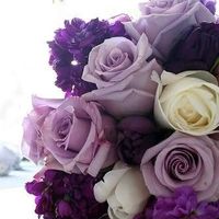 INSPIRAÇÃO PURPLE