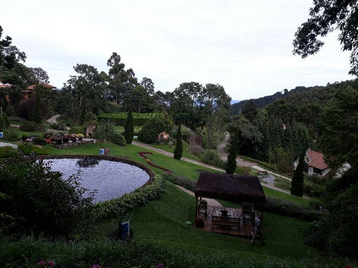 Campos do Jordão - 1