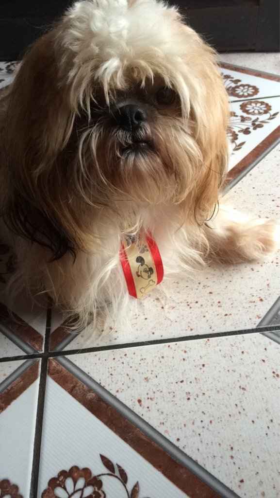 Temos um bebê - 3