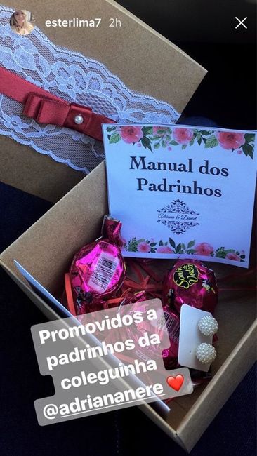 Meu manual dos padrinhos - 7