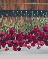 Teto de flores ...
