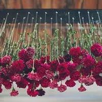 Teto de flores ...