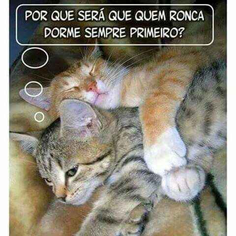 Casar é... - 3