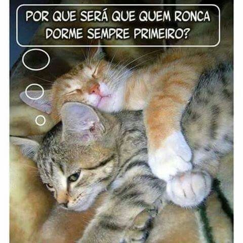 Casar é... - 3