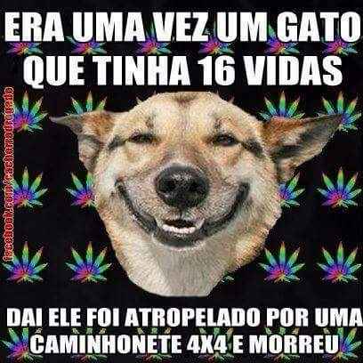 Só pra descontrair kk - 1