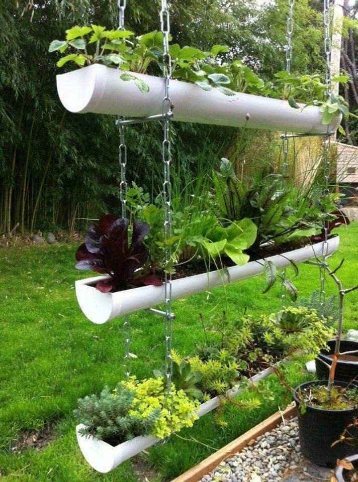 Jardinagem com reciclagem - 1