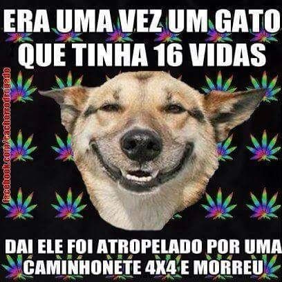 Só pra descontrair kk - 1