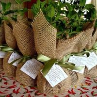 Lembrancinha de casamento