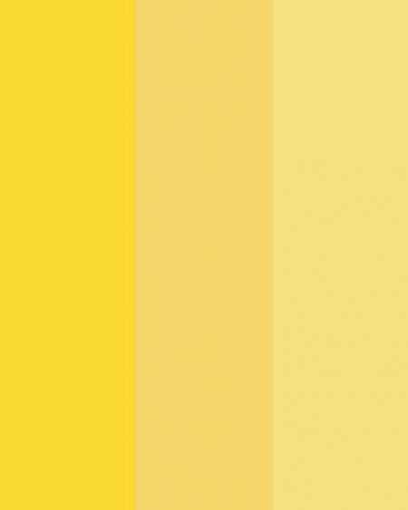 amarelo casamento