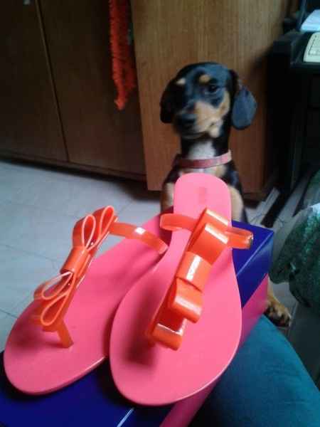 As Melissas